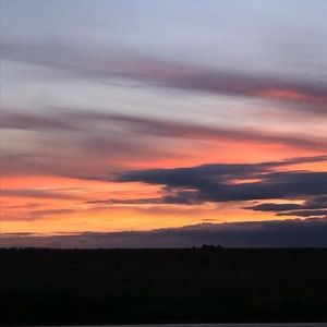 Meet your Posher, Annabelle